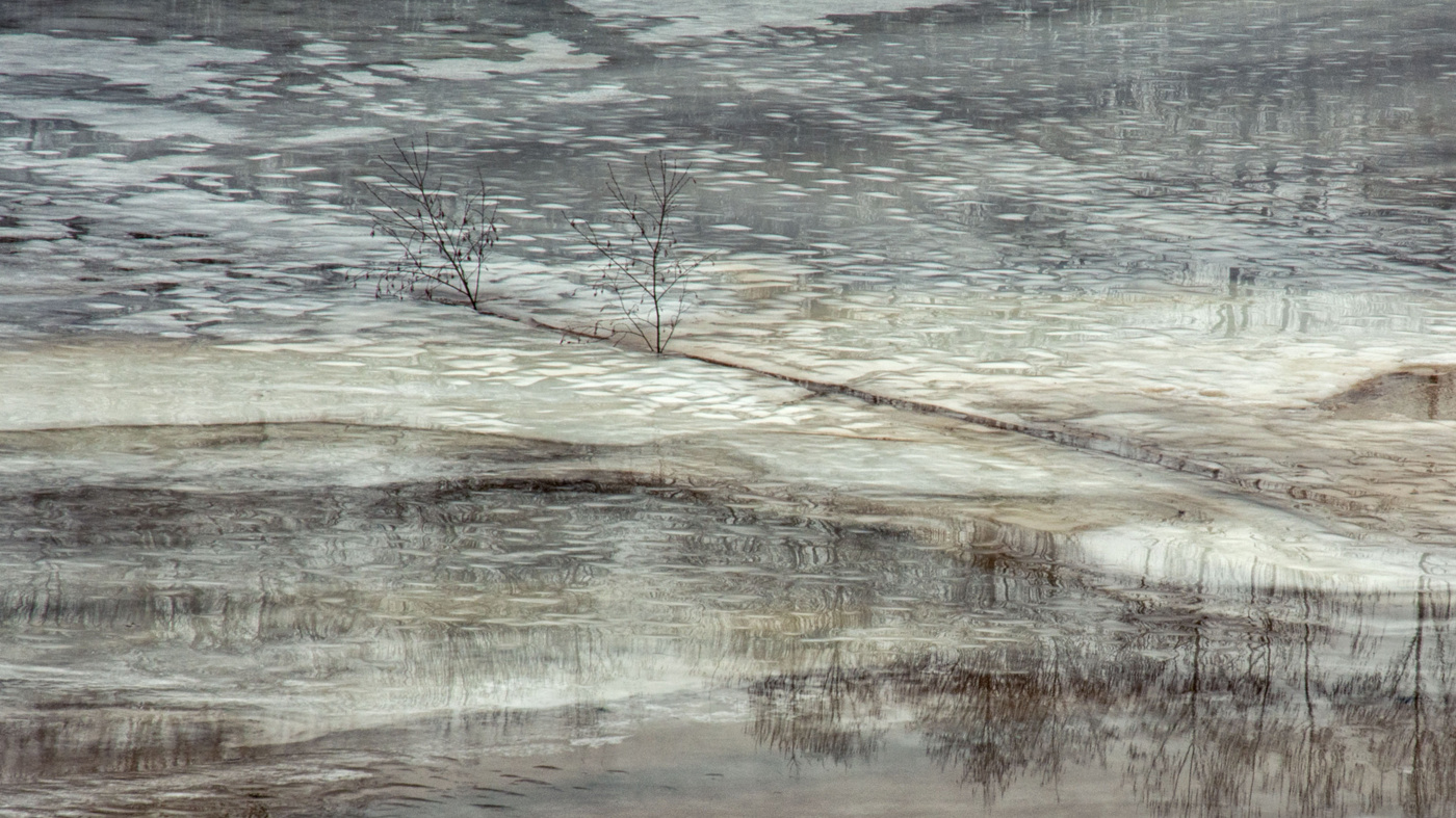 Жизнь вокруг