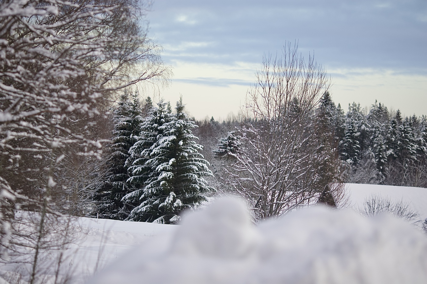 29 дней до весны!