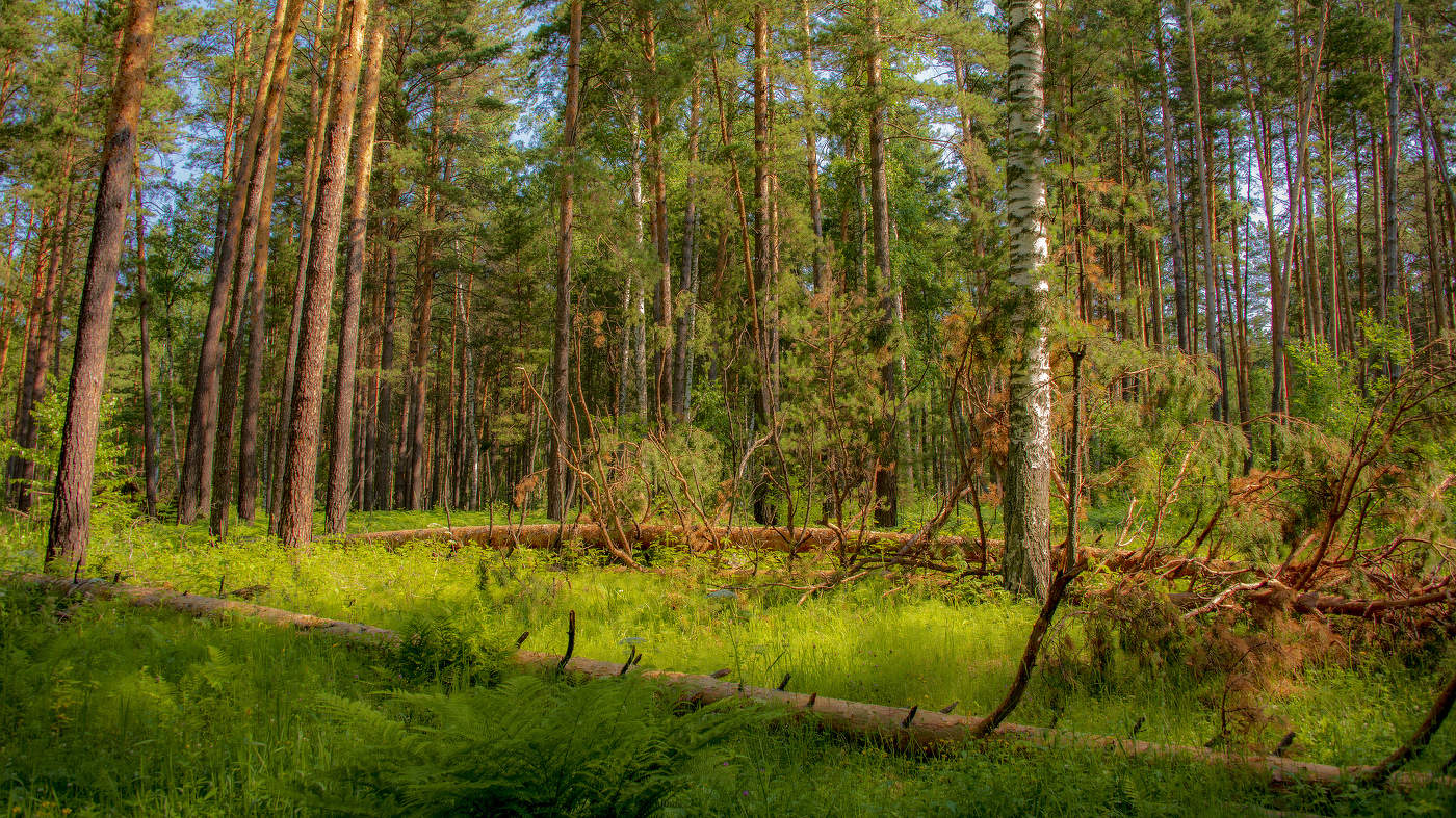 После урагана