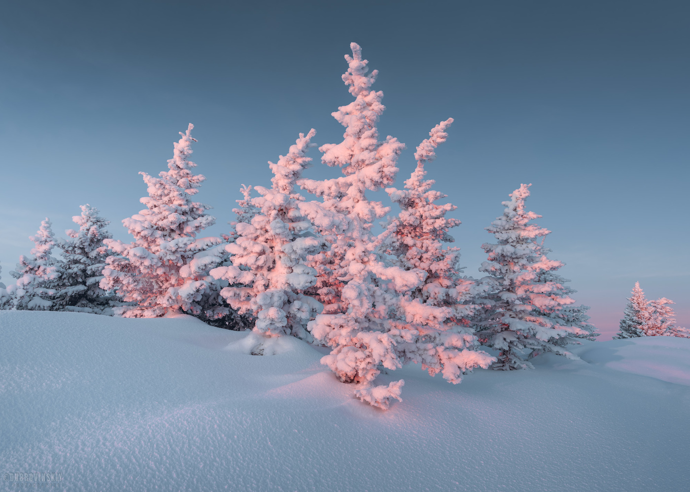 Уральские елочки