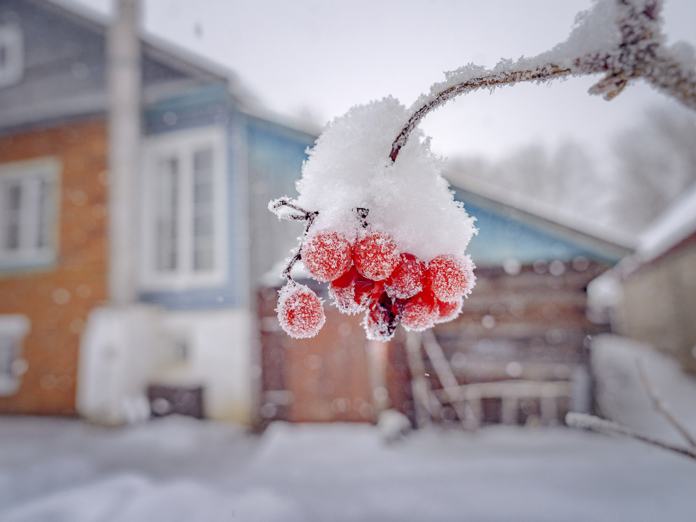 Зимняя зарисовка