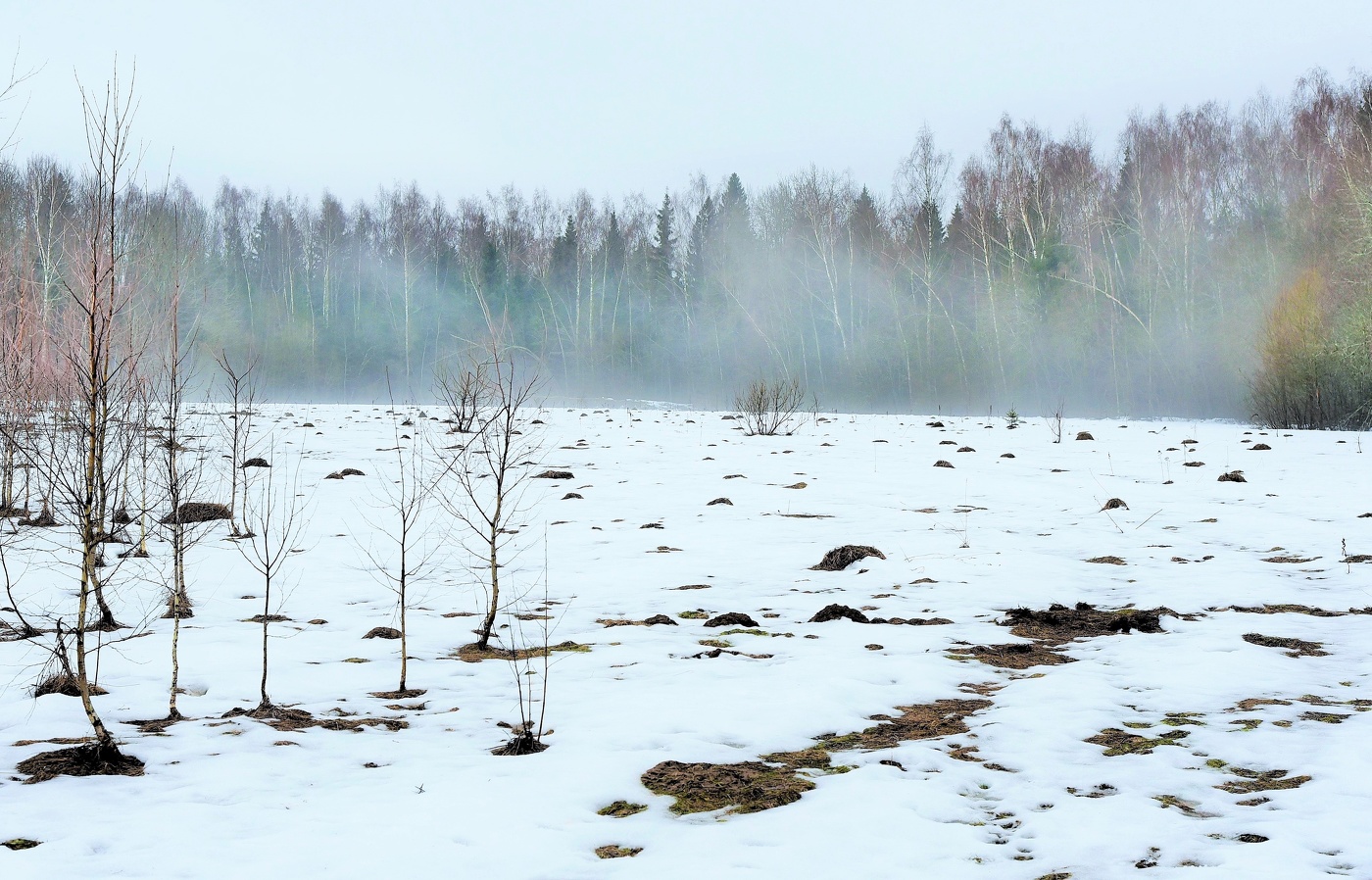 "Зима с весной опять играют в шашки: на белом поле черные проталины..."
