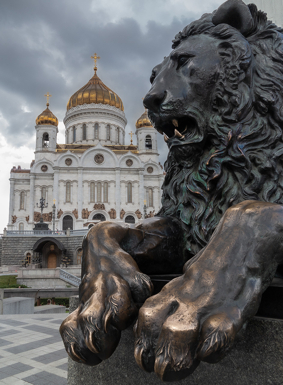 Под защитой