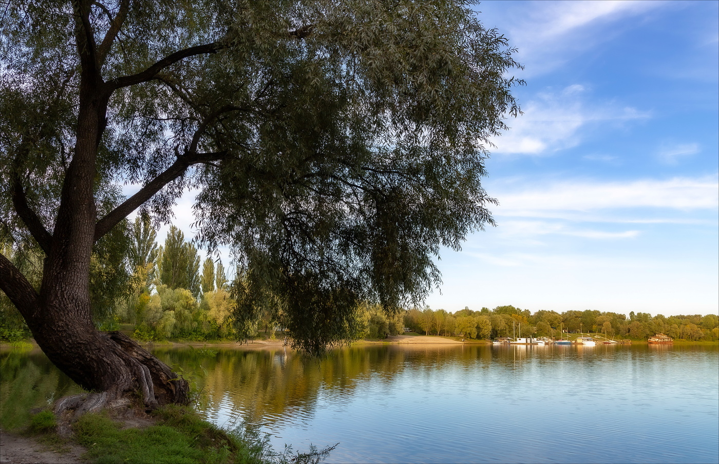 СКЛОНИЛАСЬ ПЛАКУЧАЯ ИВА