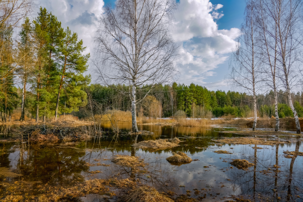 Весна. Суходол. Разлив.
