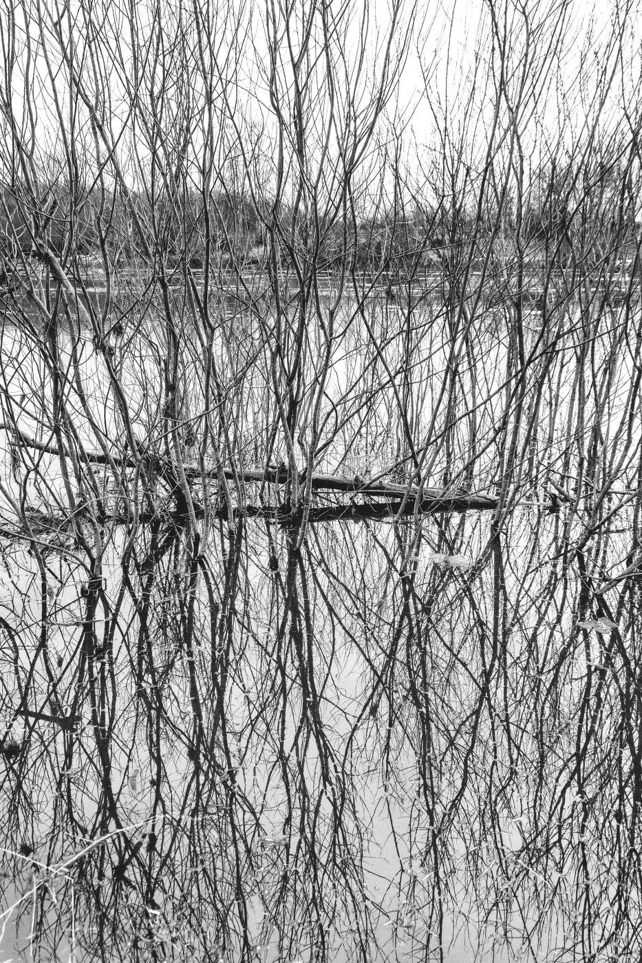 Жизнь вокруг