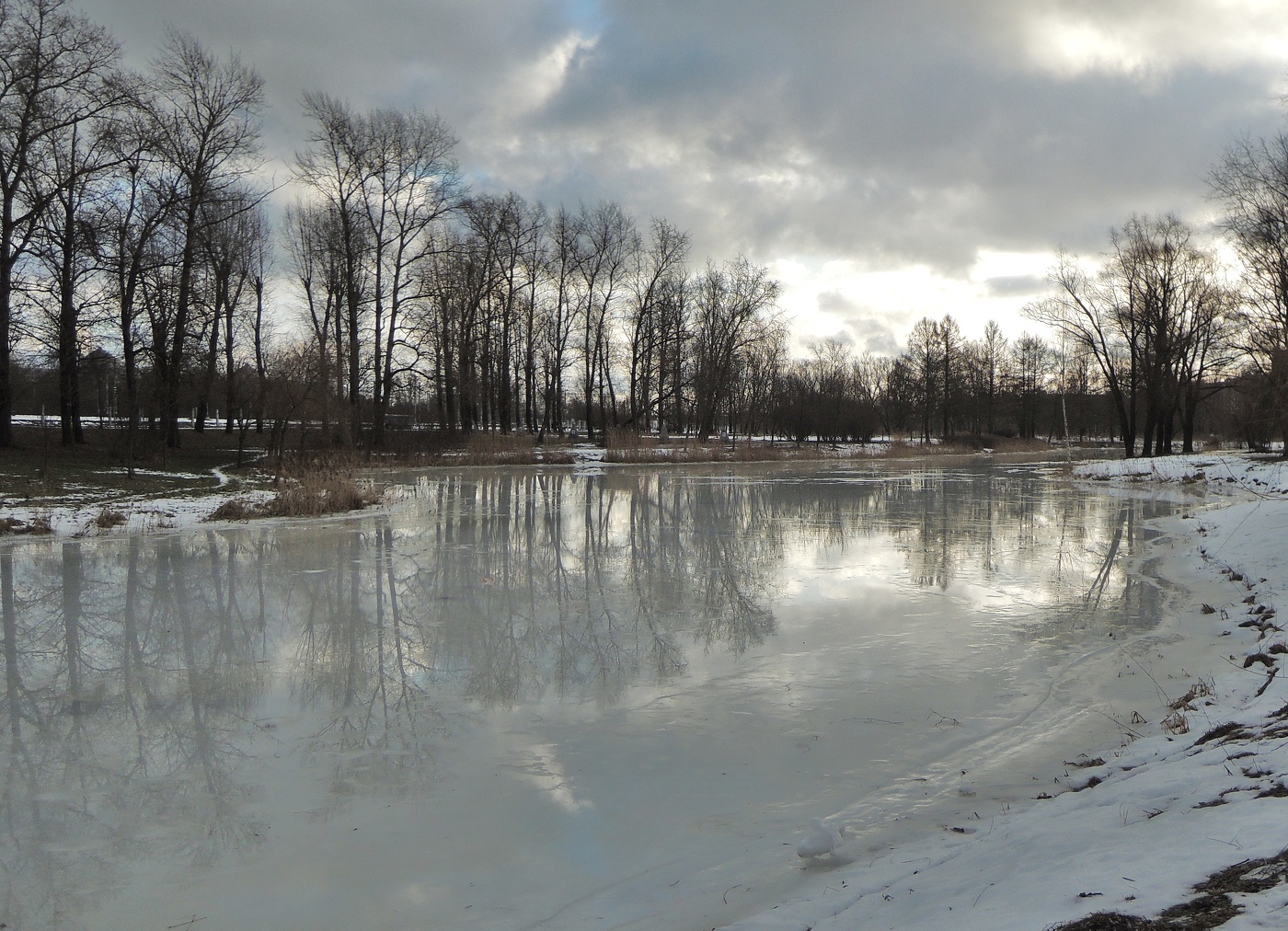 январь...такой январь...