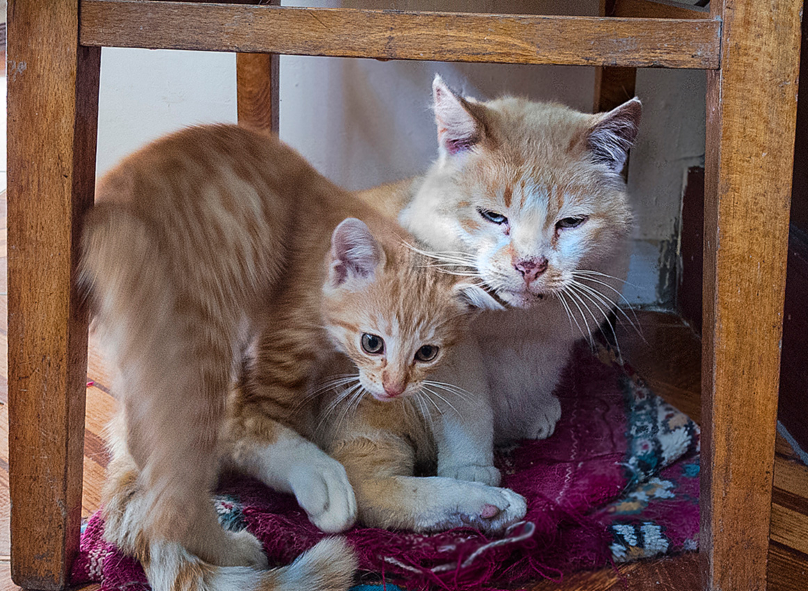 Эх, молодёж !