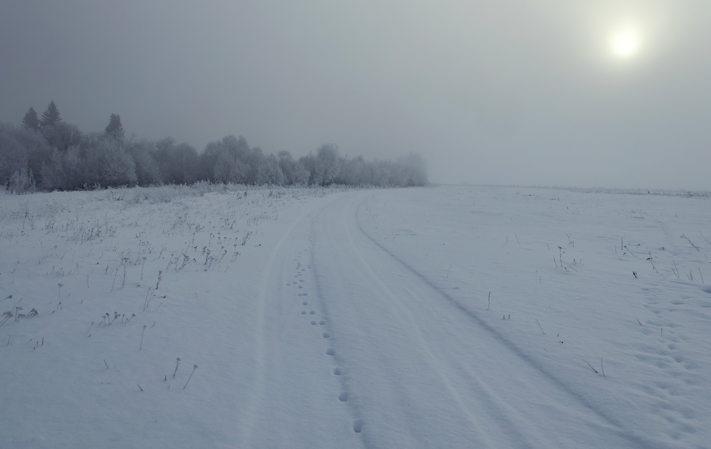 Утро. Мороз.