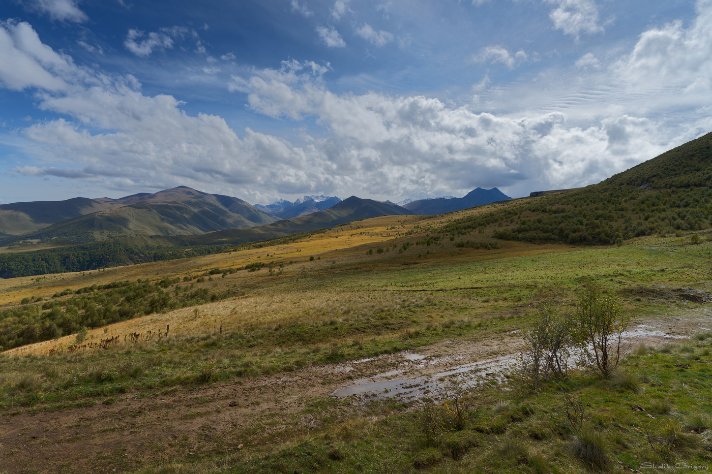 После дождя