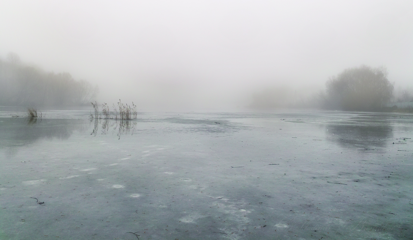 Зимние туманы