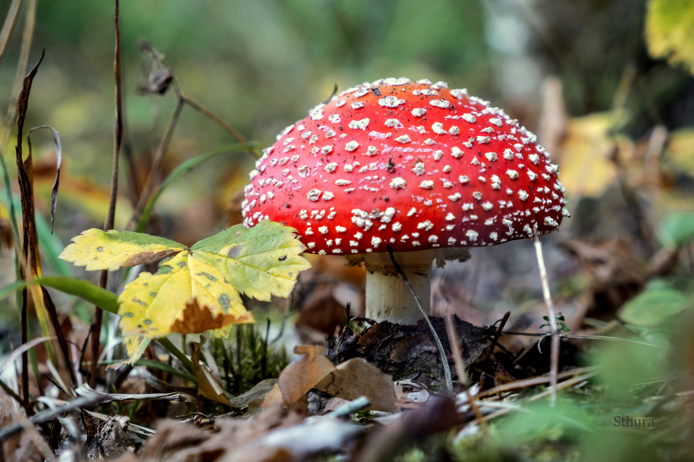 Красивая шляпка.