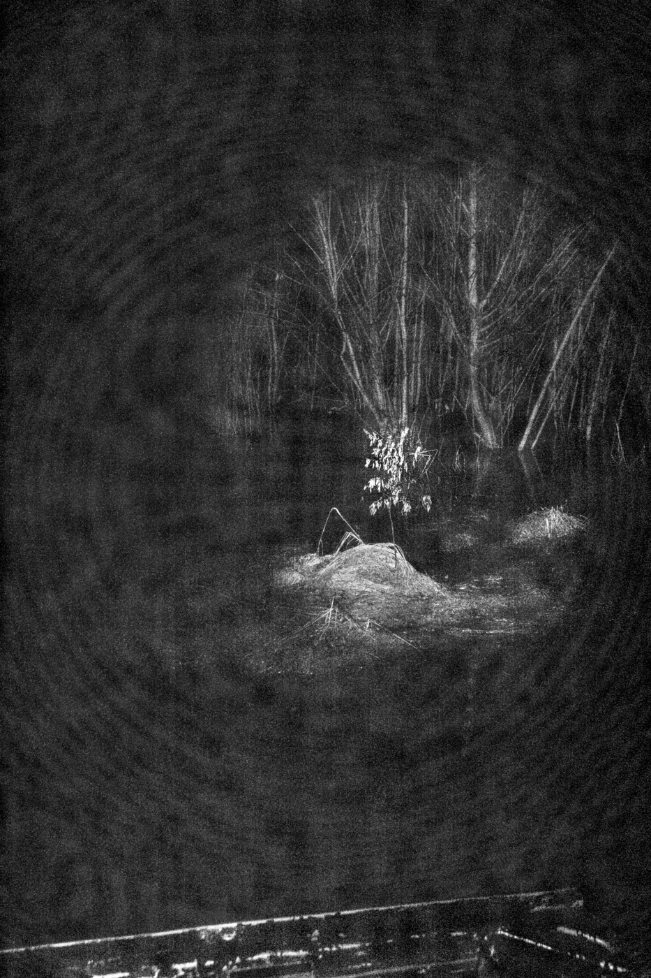 Жизнь вокруг