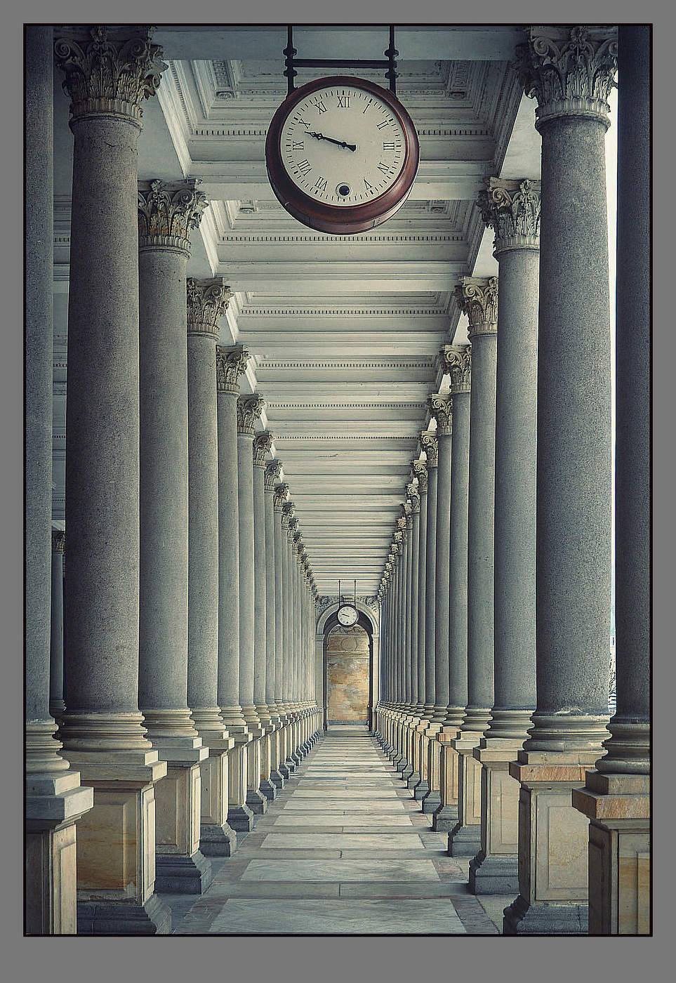 Таинственный лес в светло-сером