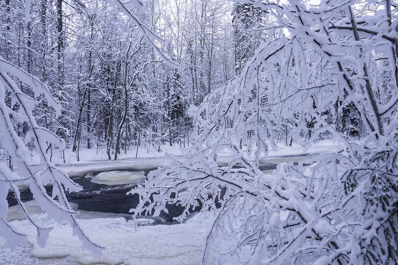 Морозные узоры