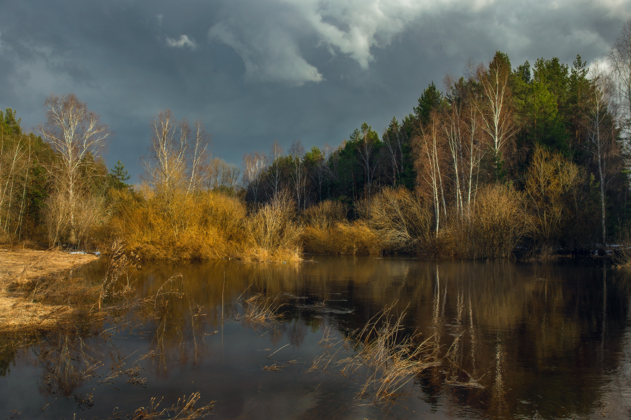 Вешние воды.