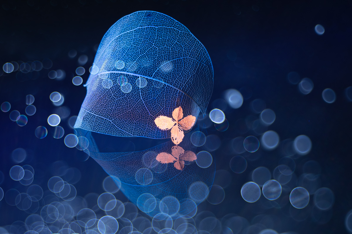 Безропотно