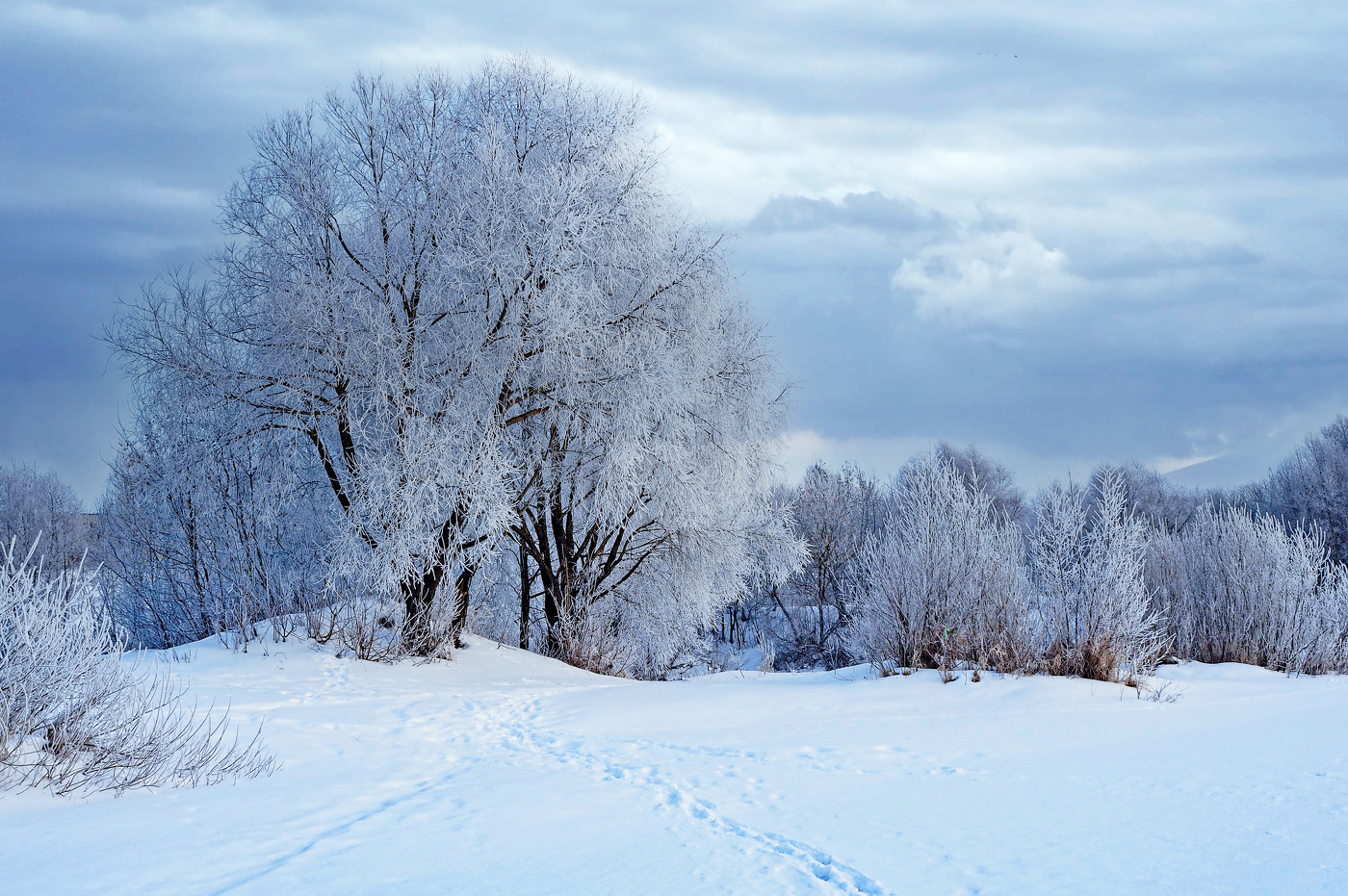 Воспоминание о прошлой зиме..