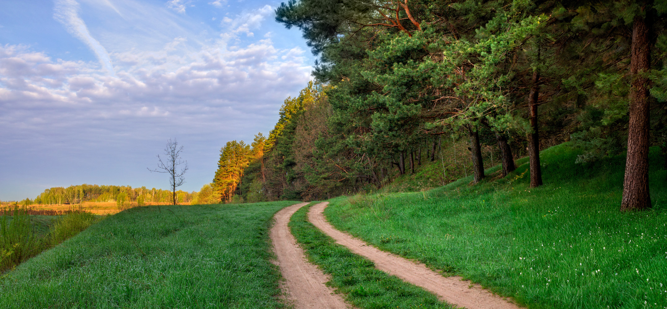 Весна и ландыши