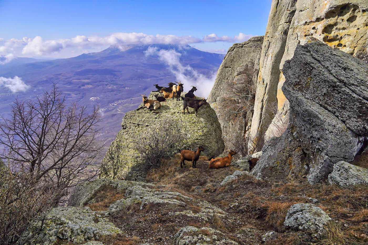 На скалах Южного Демерджи*