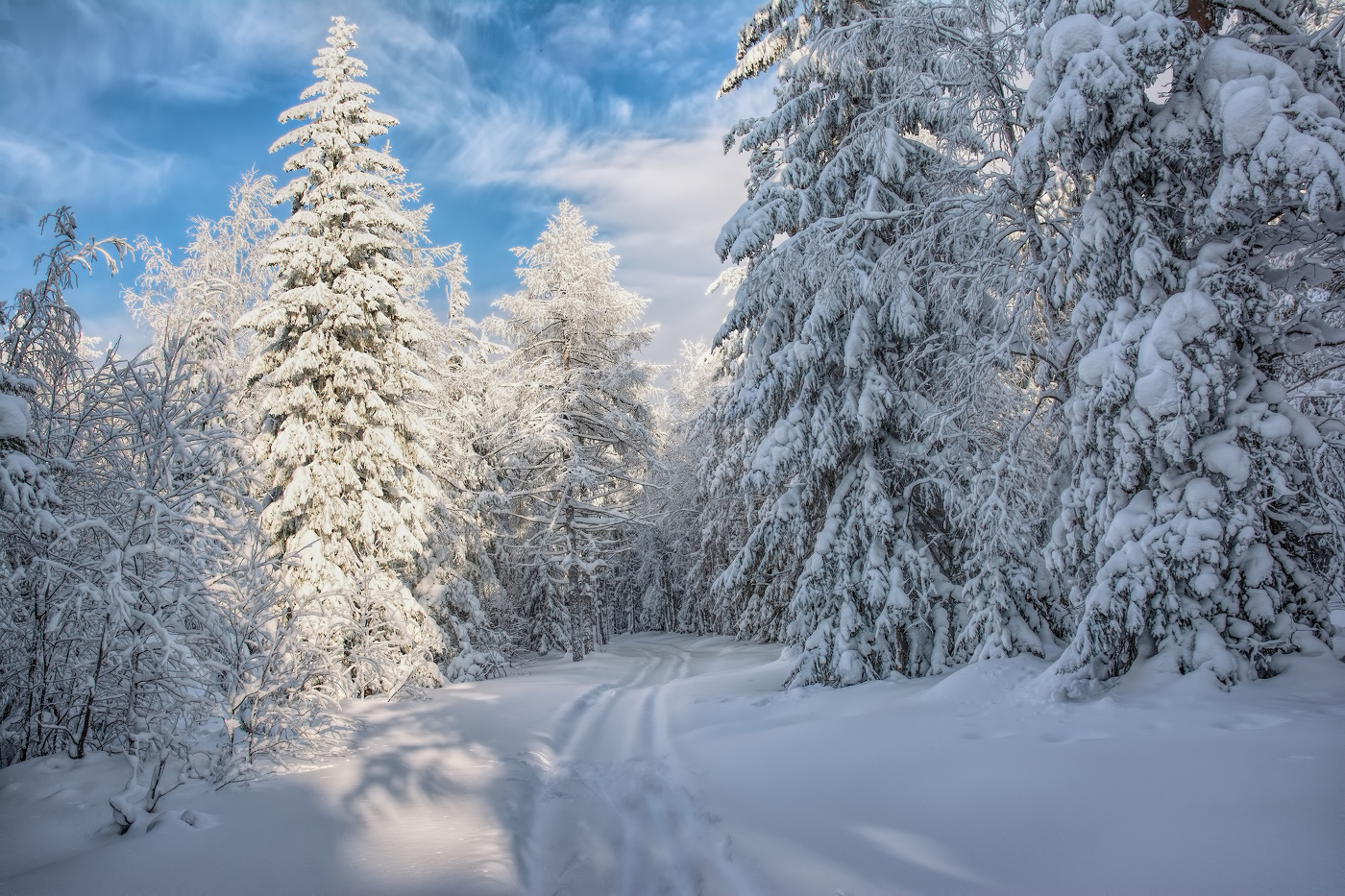 Зимний полдень