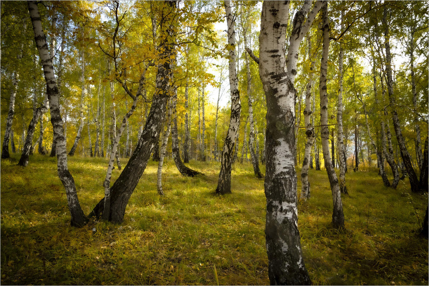 Осенняя пора