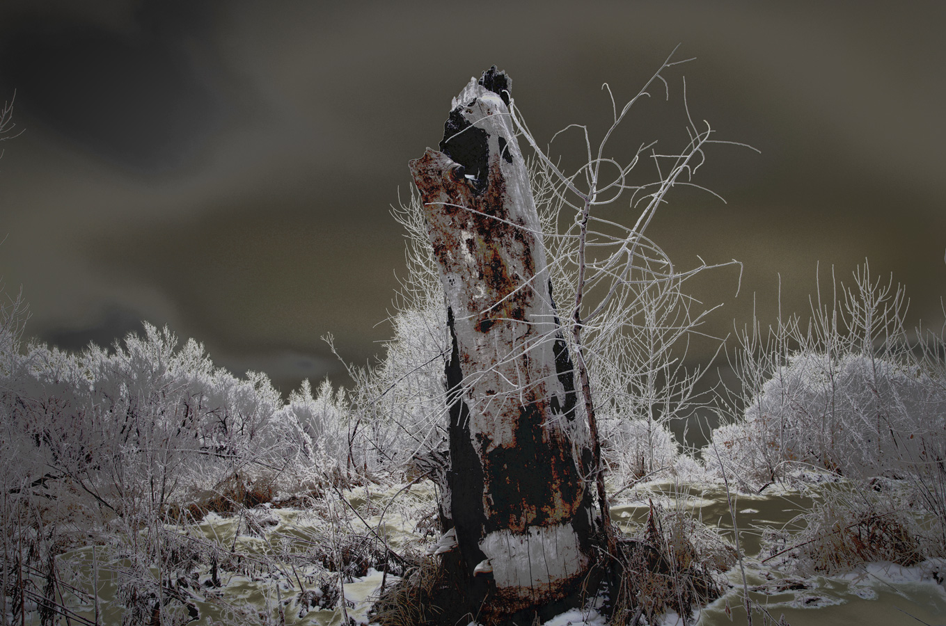 Тоска зелёная