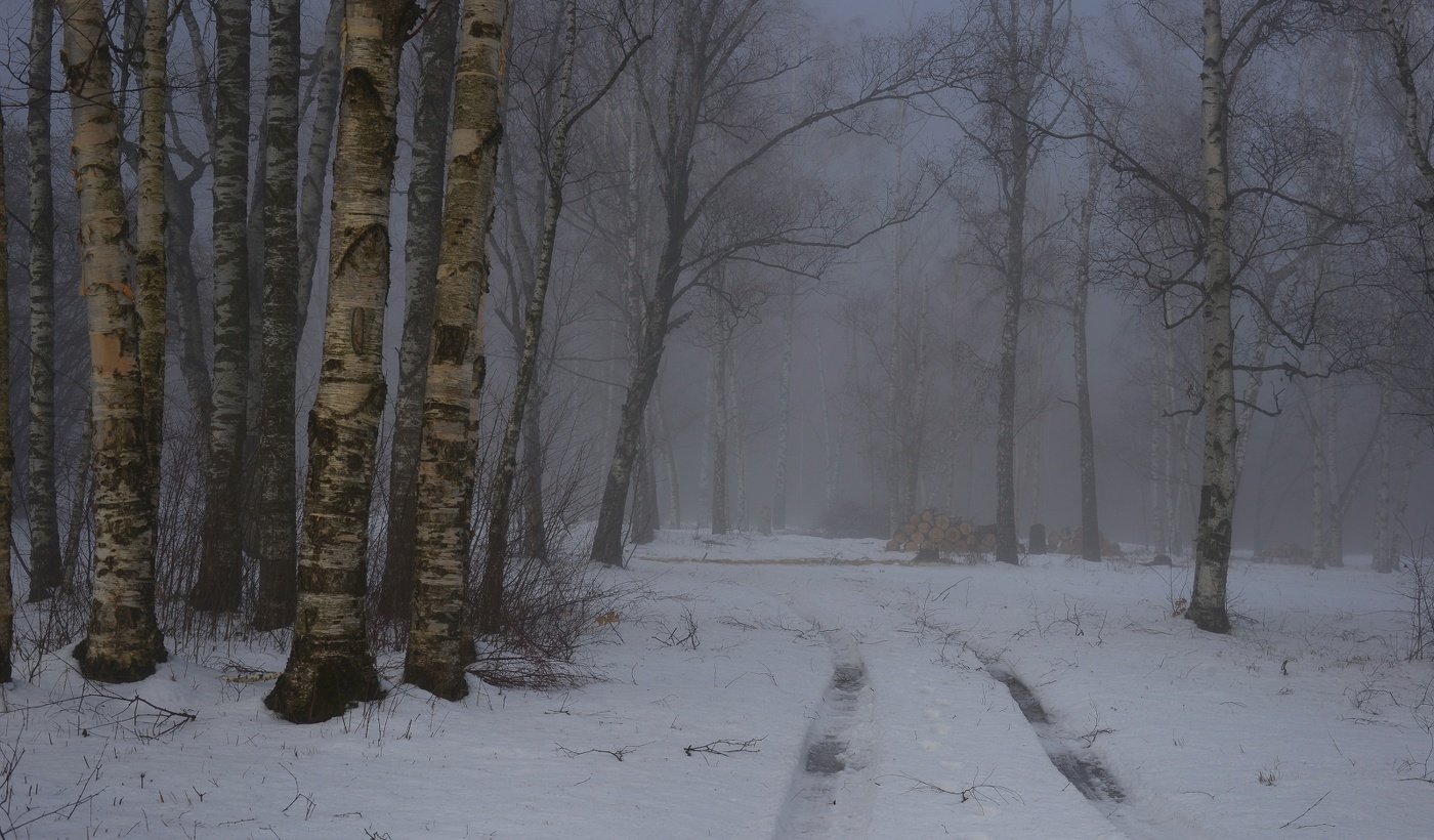 Туманное утро