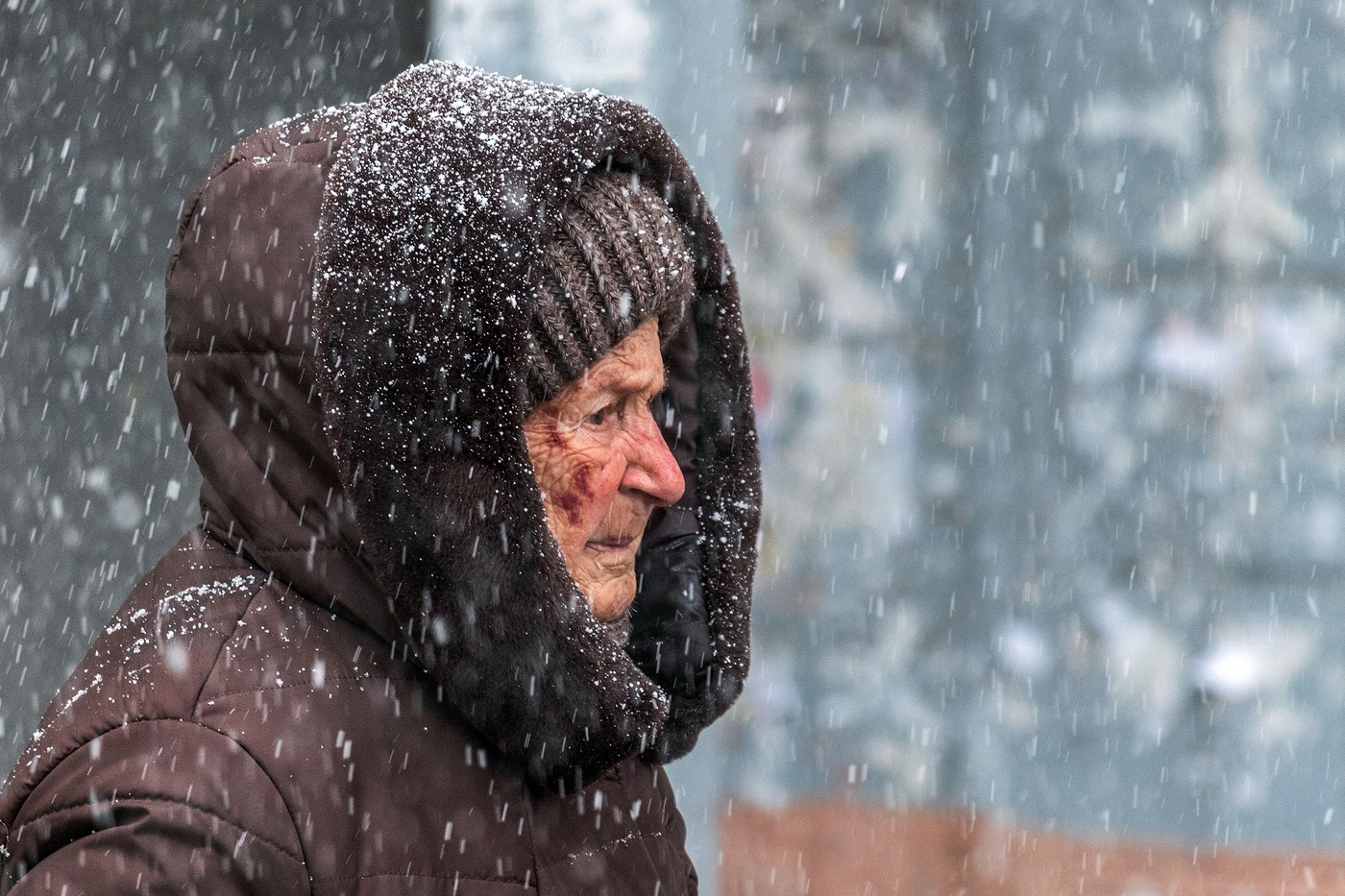 Старейшая жительница нашего дома.
