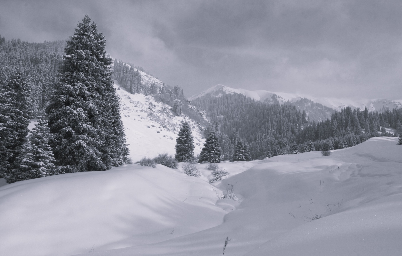 Был такой день