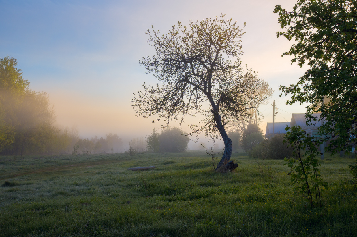 Прохладное утро в деревне