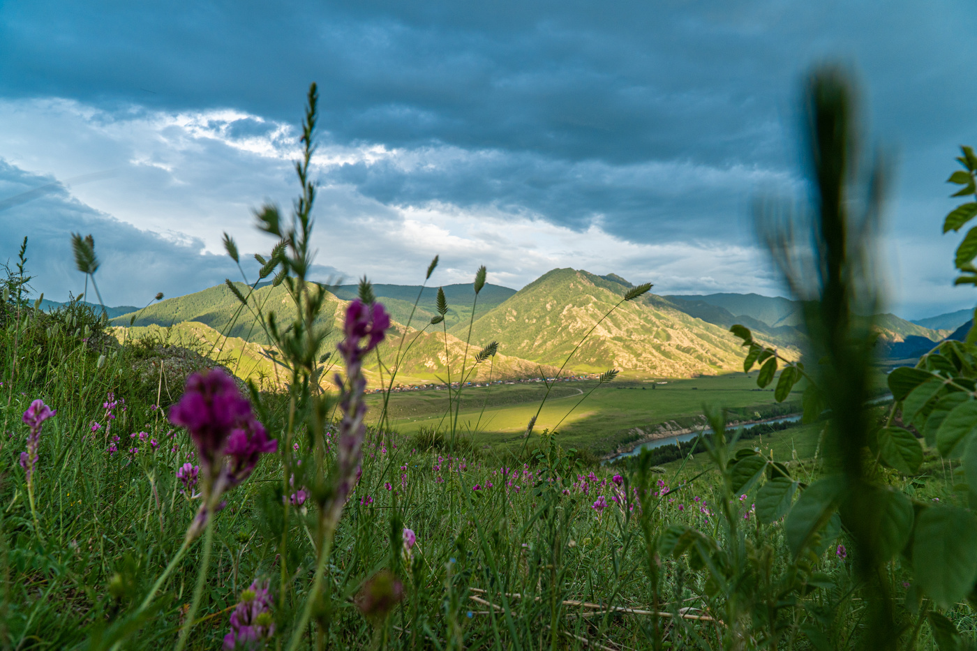 Горный Алтай