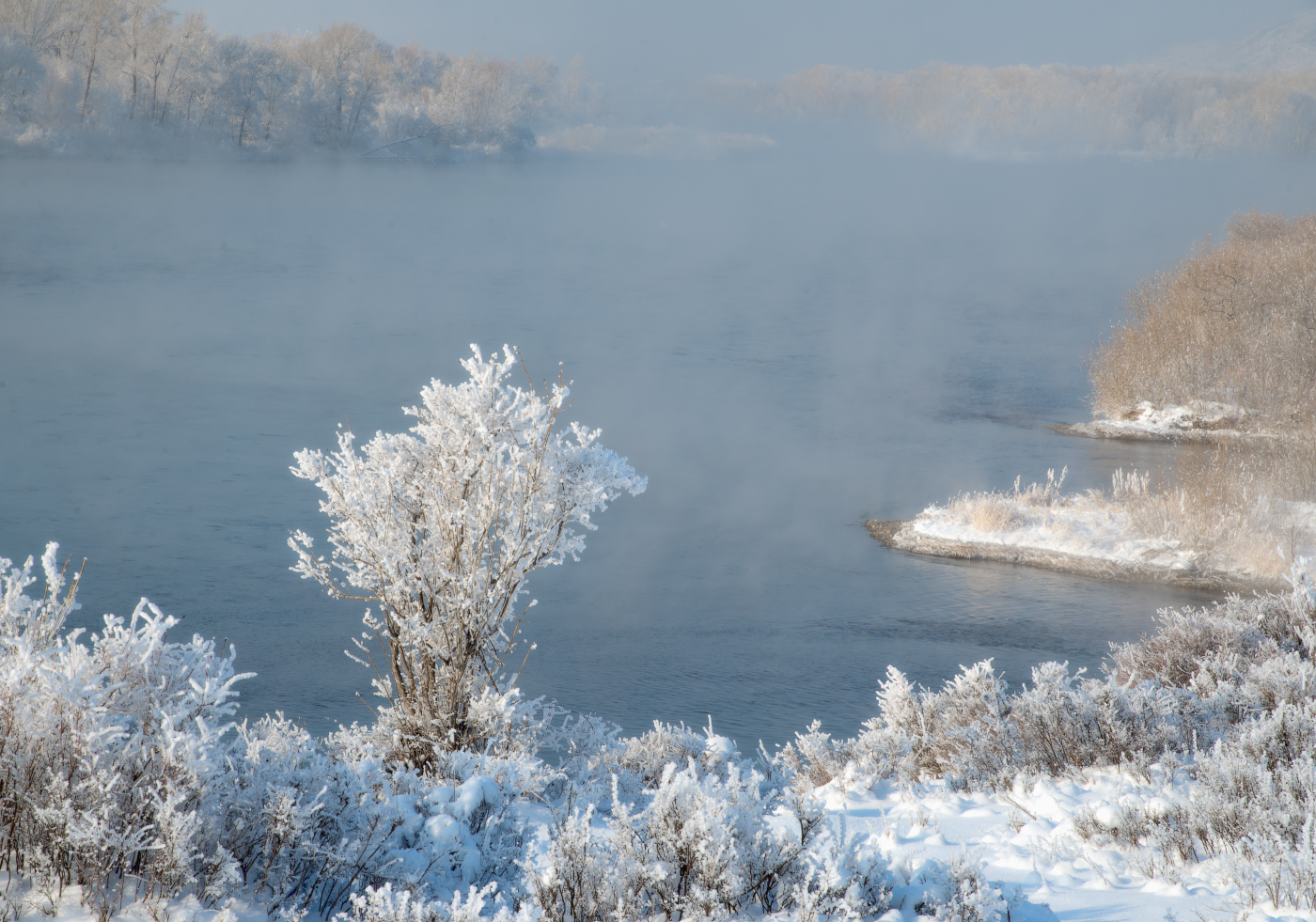В морозном тумане