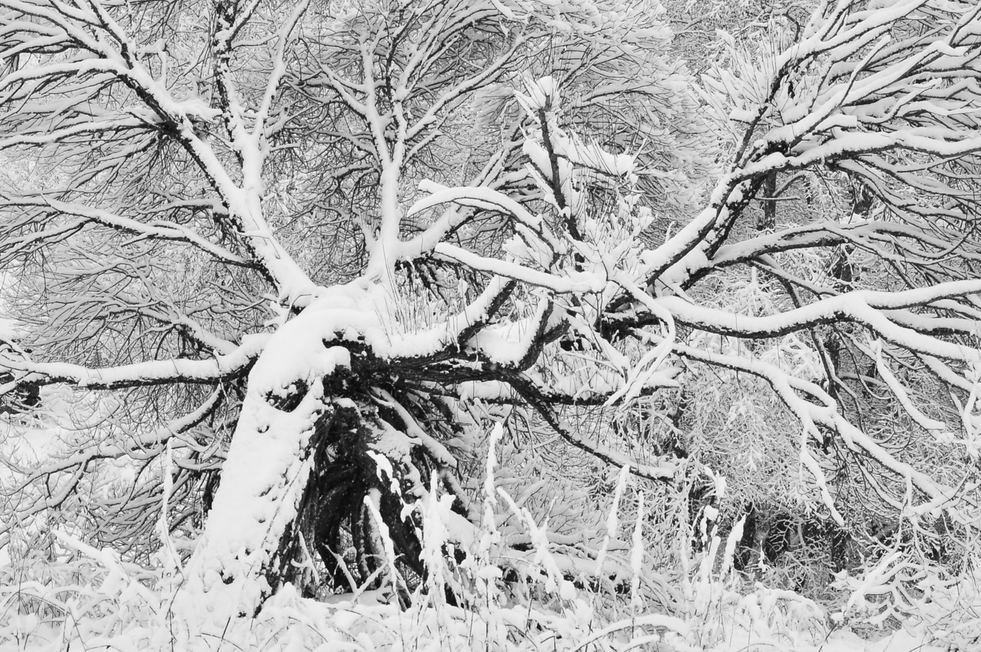 Жизнь вокруг