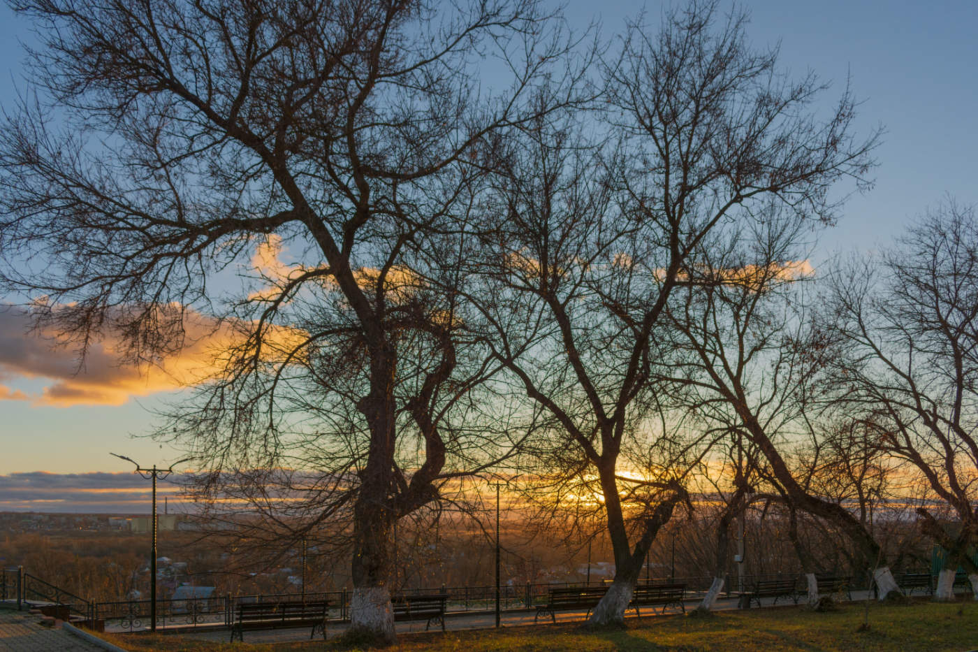 Вечерний свет. Ноябрьское.