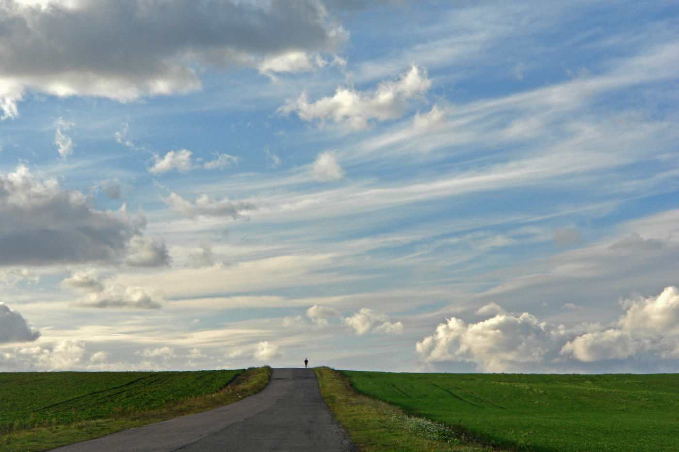 Одинокий путник