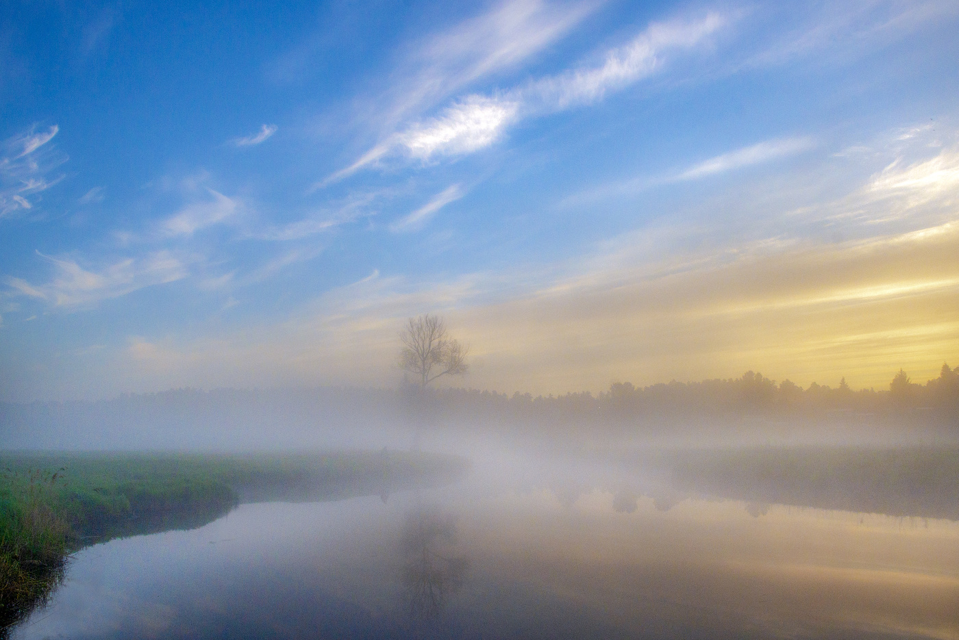 Первое утро лета