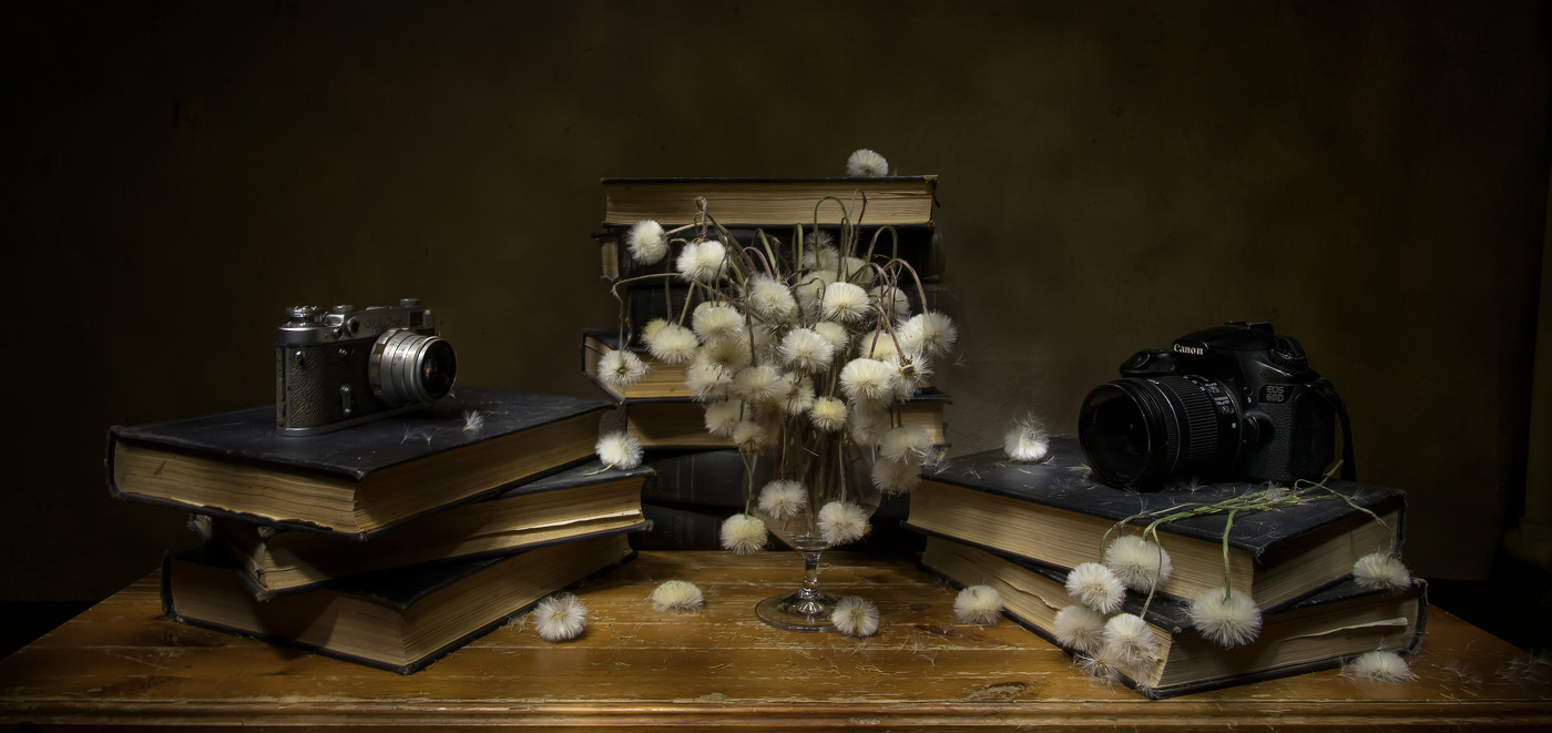 Пушистики...