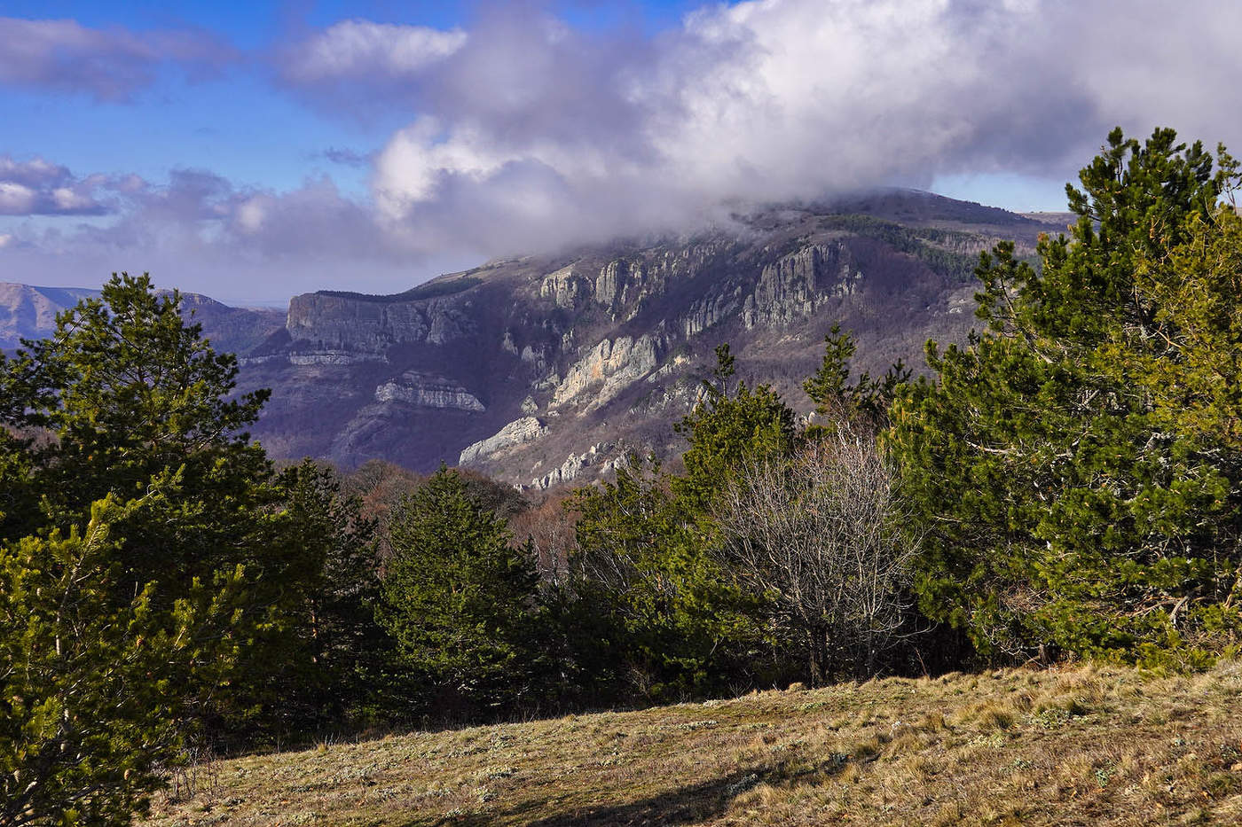 Северный Демерджи