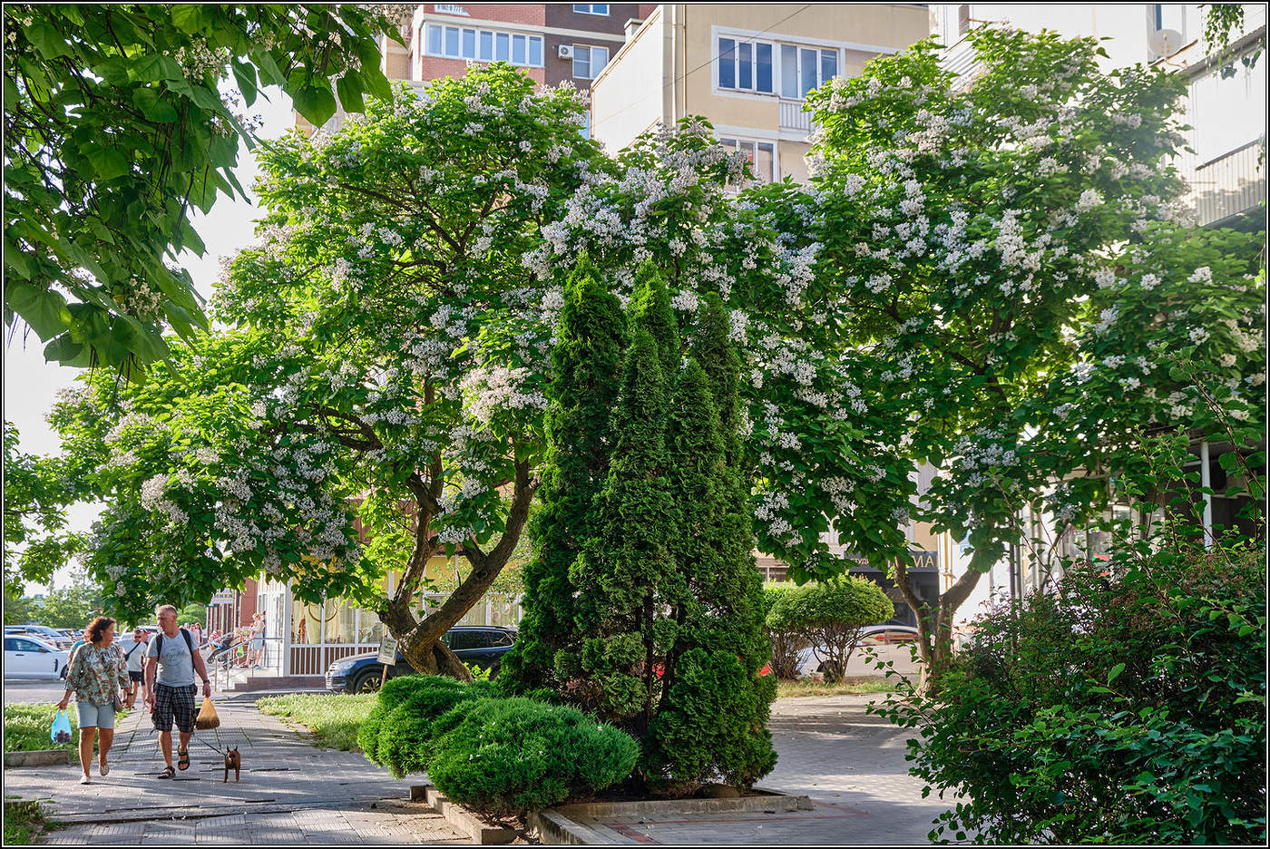 Вспоминая прошедшее лето.