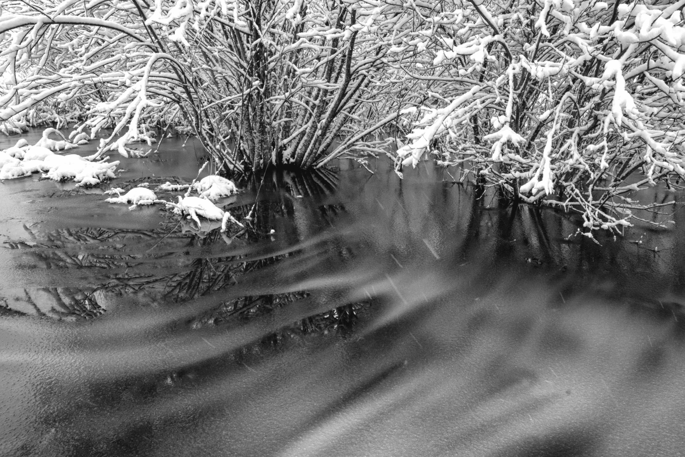 Жизнь вокруг