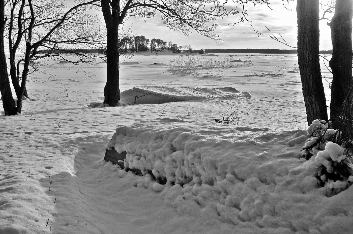 Февральский полдень