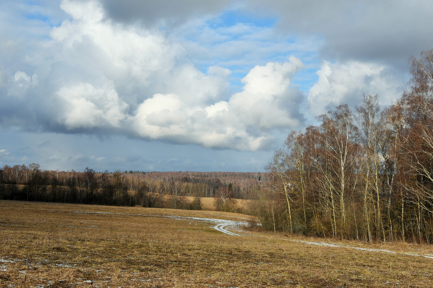 Бесснежное начало февраля ...
