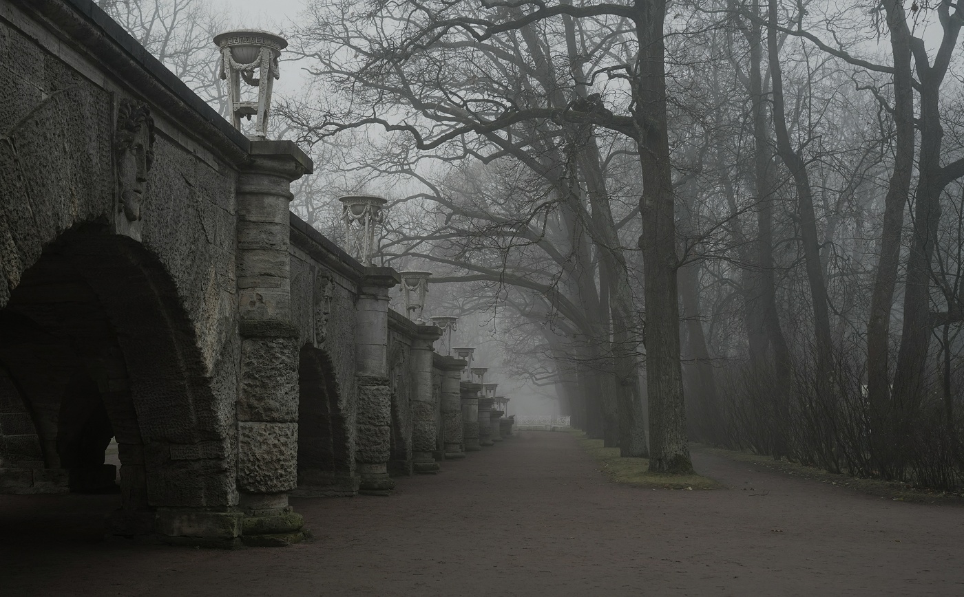 Осеннее утро