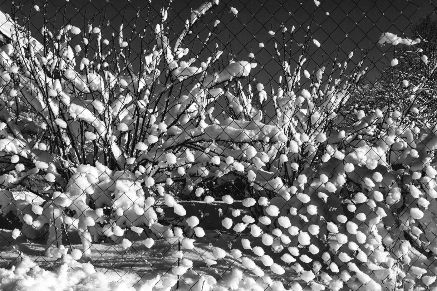 Жизнь вокруг