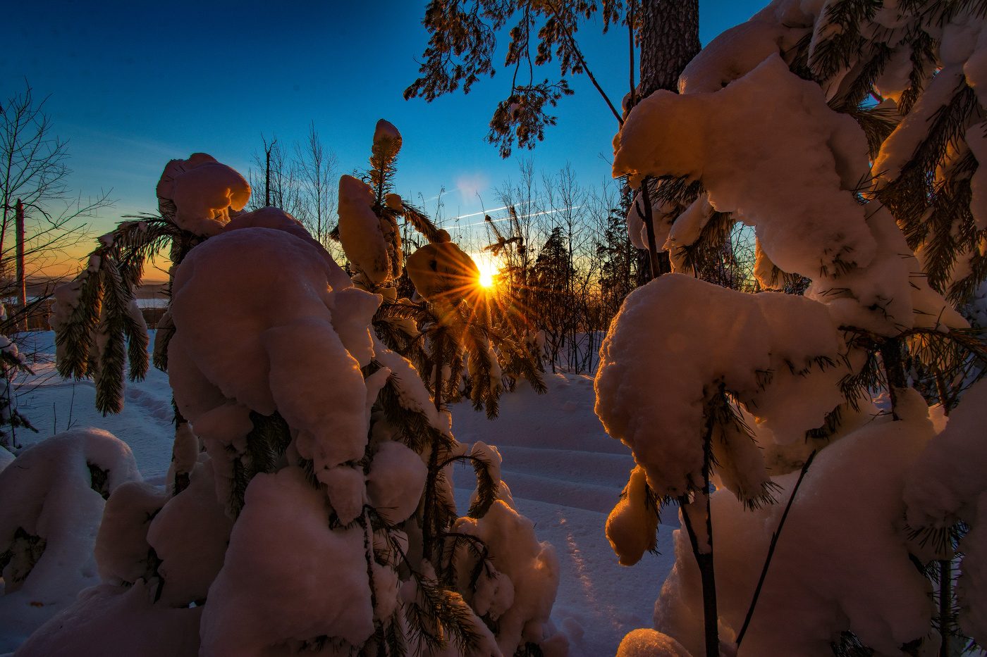 Утренний свет