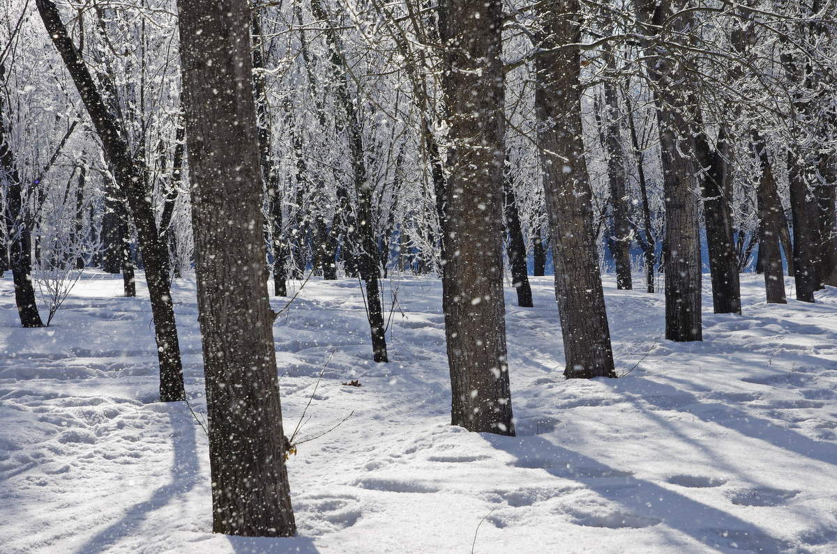 Иней опадает