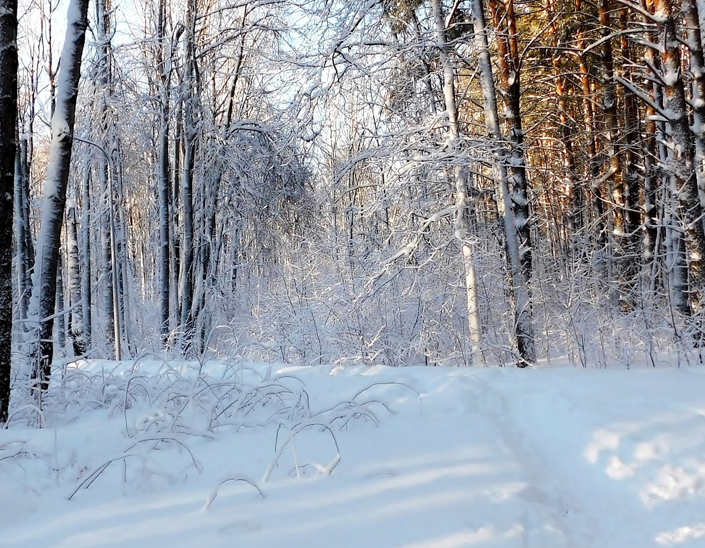 Февральское утро