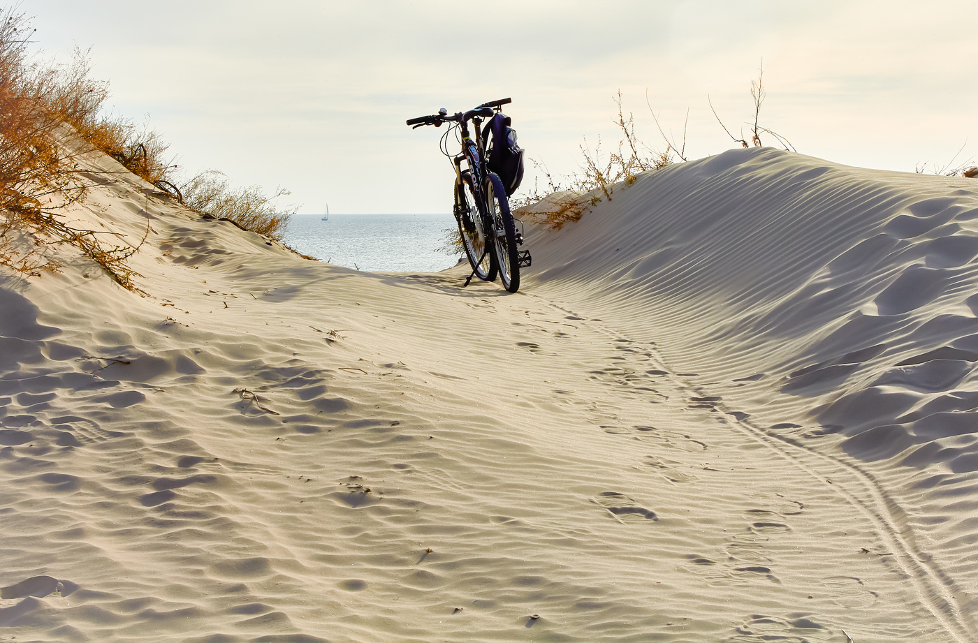 Белеет парус одинокий..