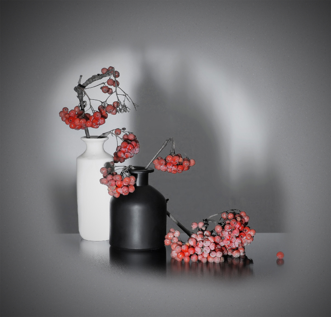 Рябина в инее